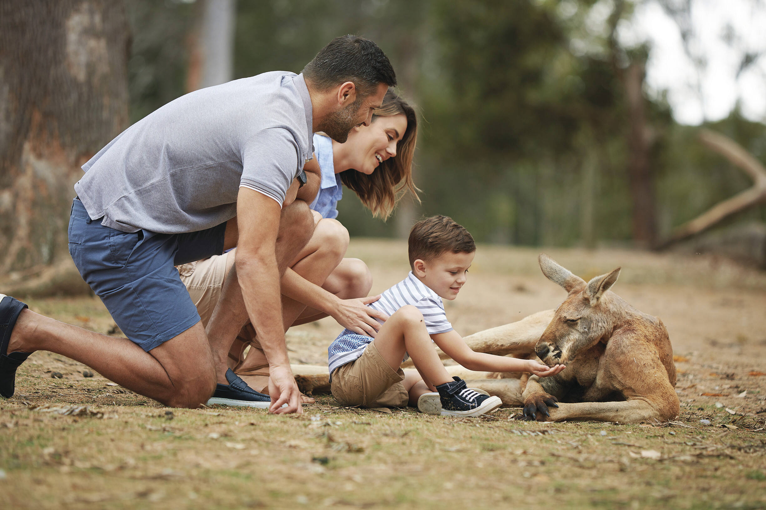 2017_BNE_LonePineKoalaSanctuary_WildlifeExperiences_136821