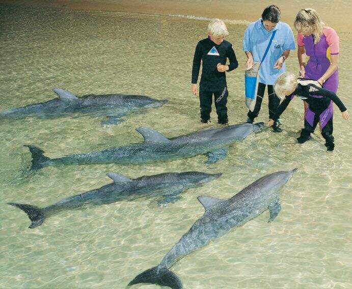 2019_BNE_MoretonIsland_WildlifeExperiences_114637