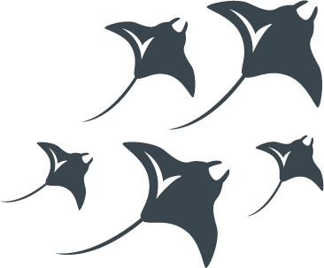 Group.png