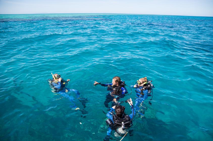 2016_GBR_GreatBarrierReef_DivingAndSnorkelling_ScubaDivingOnTheGreatBarrierReef