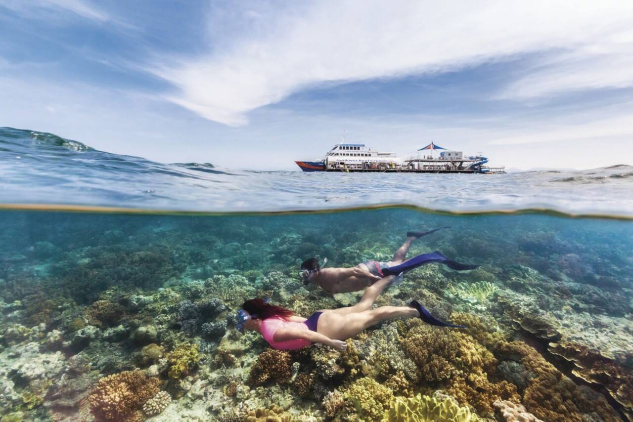 2017_tnq_sunlovercruises_reef_andrewwatson-1536x1024