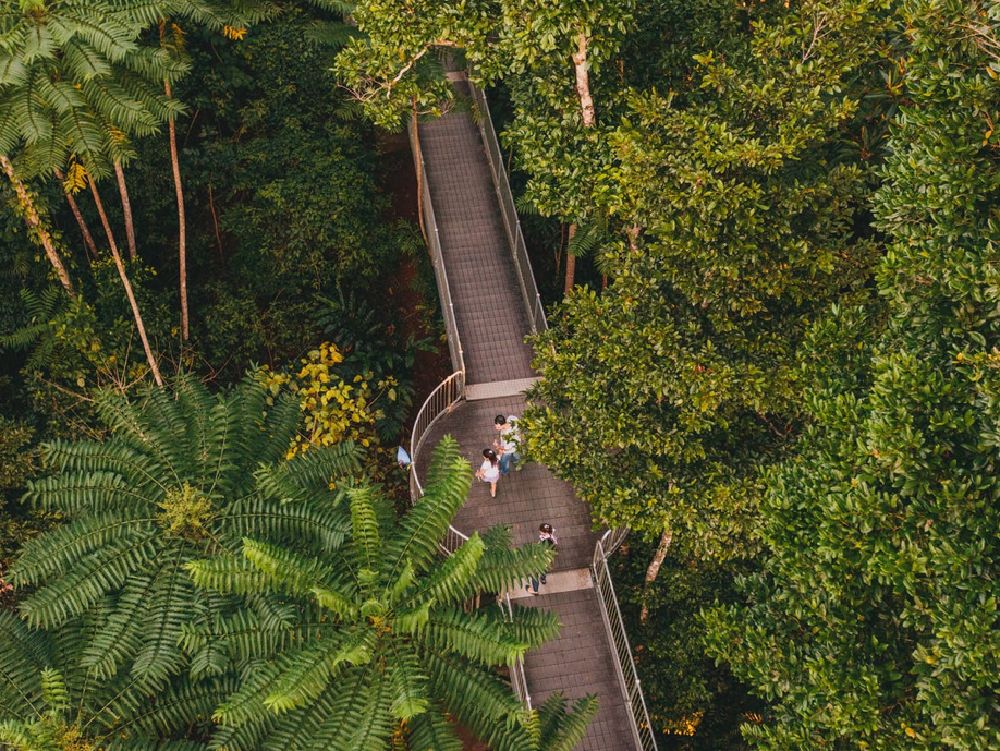 2018_TNQ_MamuTropicalSkywalk_NaturalLandscapes_MatthewEvans.png