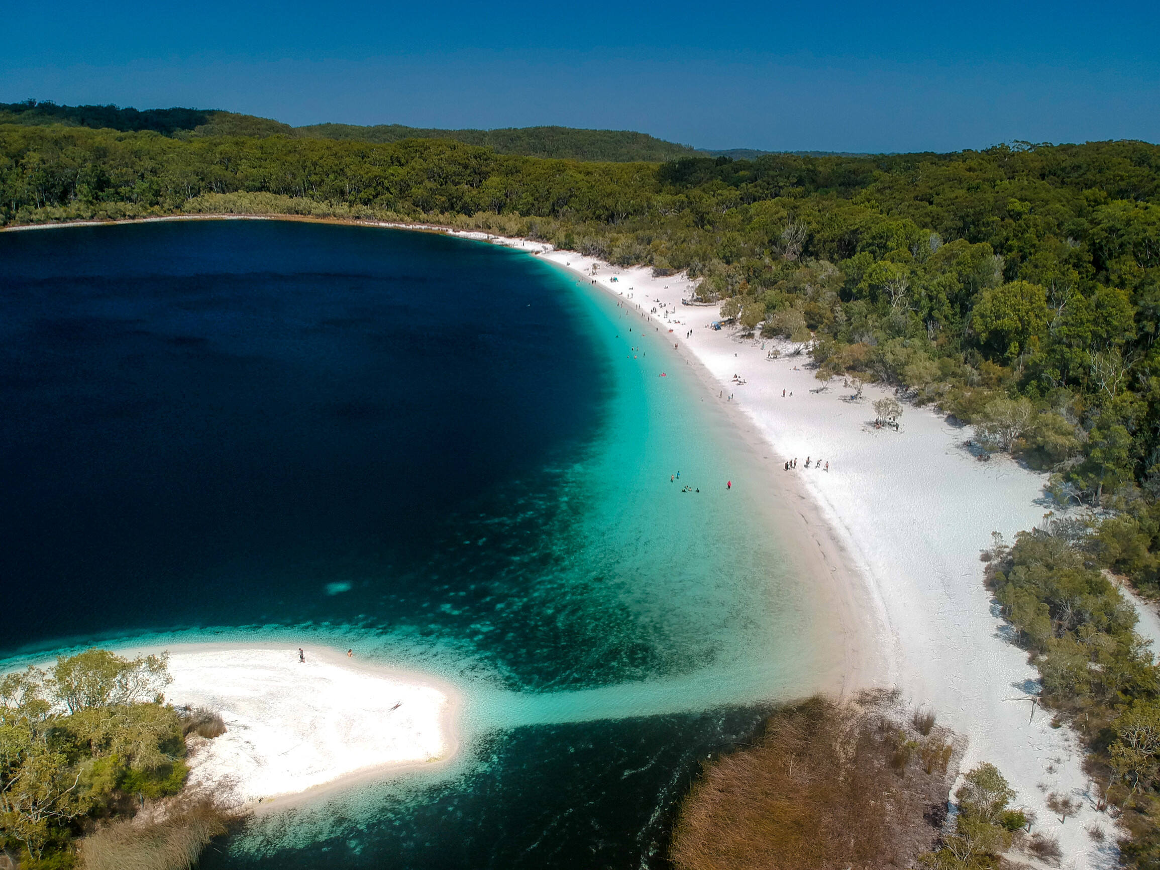 2019_FC_FraserIsland_LakeMcKenzie_Islands_MarkFitz_139895.jpg