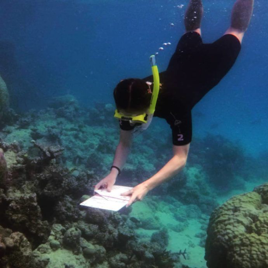2019_GBR_GreatBarrierReef_DivingAndSnorkelling_@reefteach