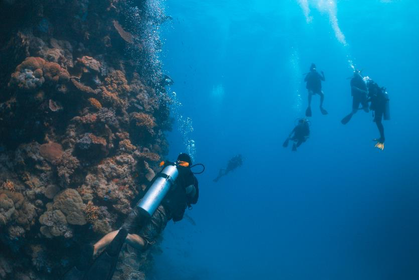 2019_GBR_GreatBarrierReef_DivingAndSnorkelling_140155