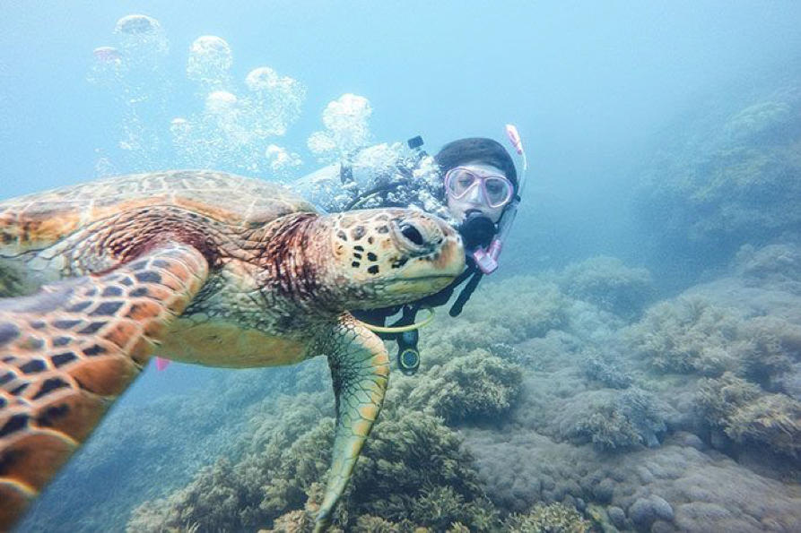 2019_TNQ_FitzroyIsland_DivingAndSnorkelling_mycolourfulworld_