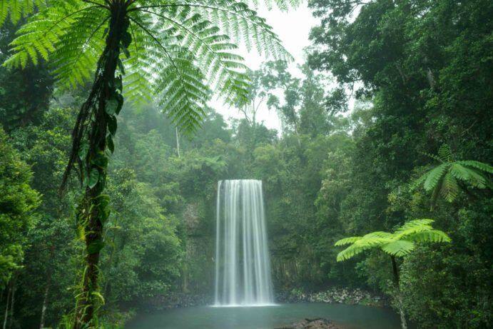 2019_TNQ_MillaaMillaaFalls_NaturalLandscapes_138054