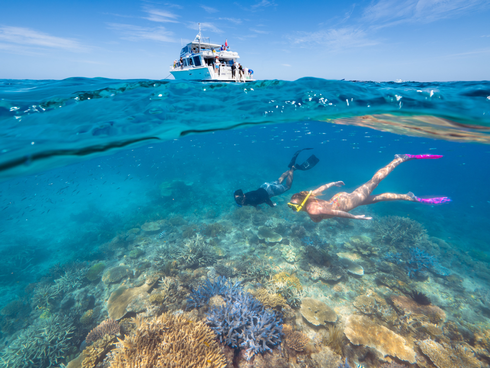 2019_TNQ_MissionBeachDive_GreatBarrierReef_PhilWarring_141310