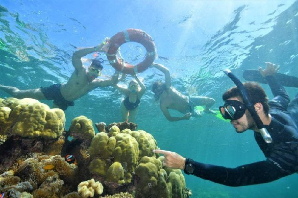 2019_TNQ_PortDouglas_DivingAndSnorkelling_@masterreefguides