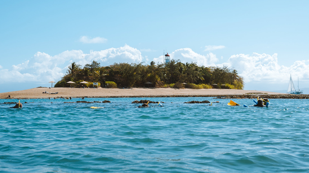 2019_TNQ_PortDouglas_DivingandSnorkelling_140463_desktop