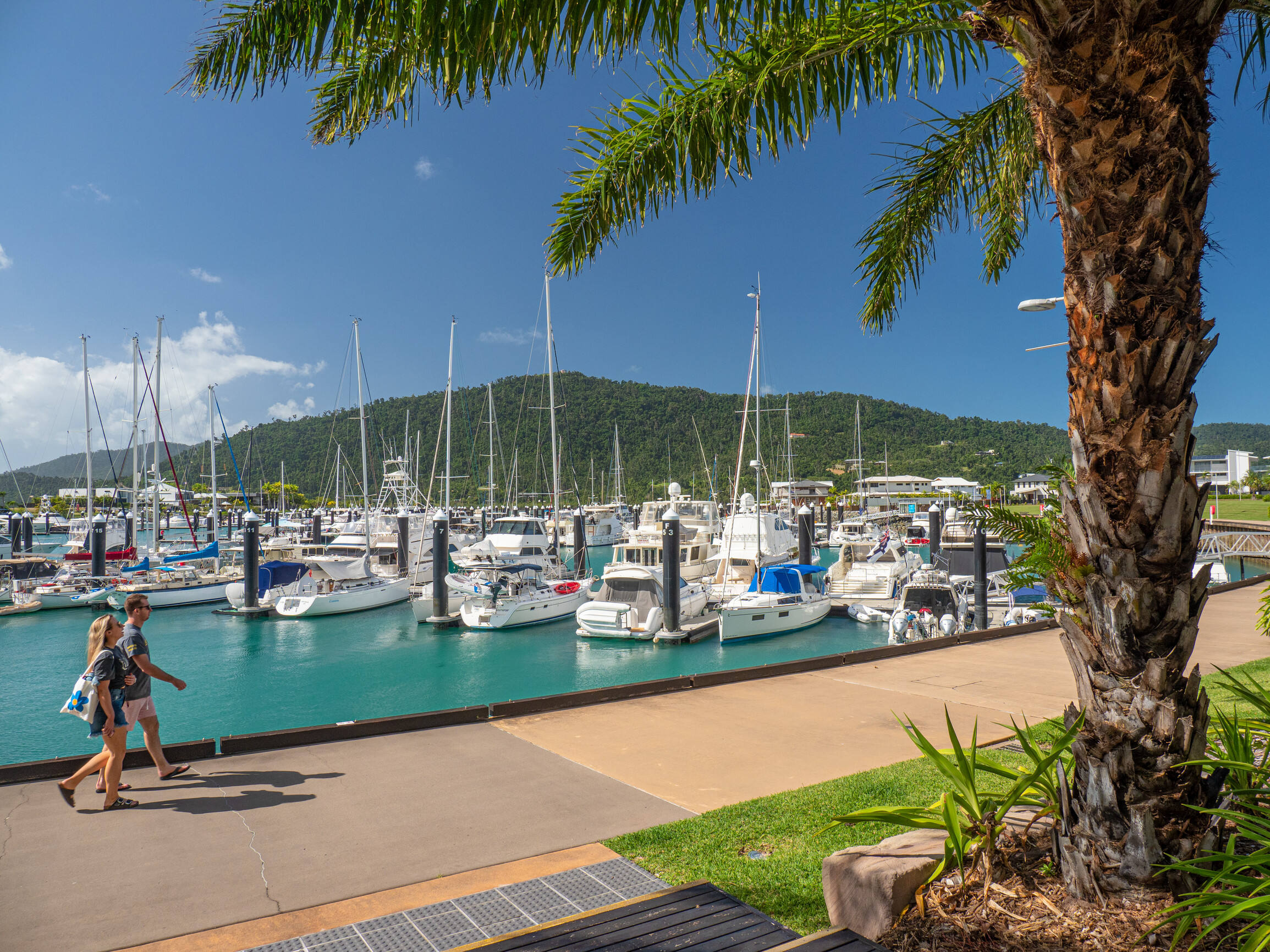 2019_WSY_AirlieBeach_Beaches_MarkFitz_141481.jpg