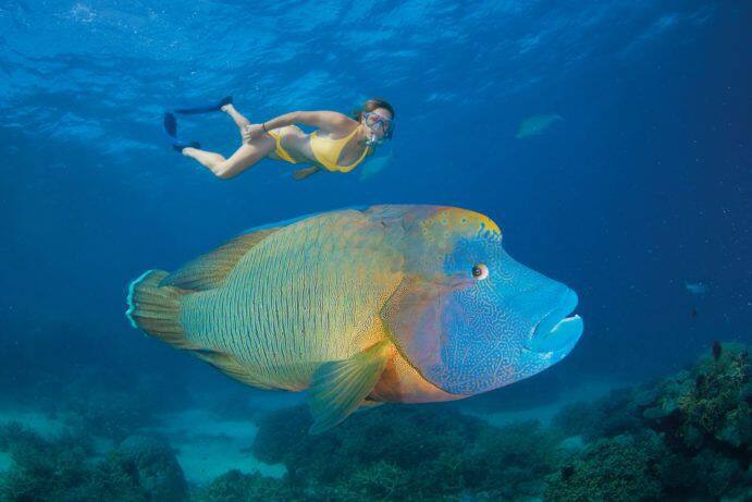 2019_WYS_GreatBarrierReef_DivingAndSnorkelling_126123