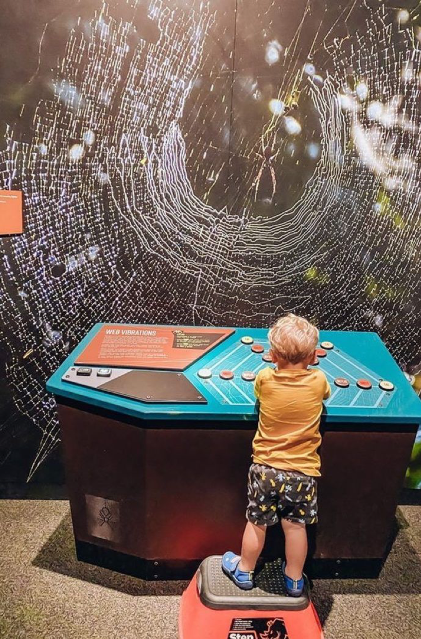 2020_BNE_QueenslandMuseum_MuseumsAndGalleries