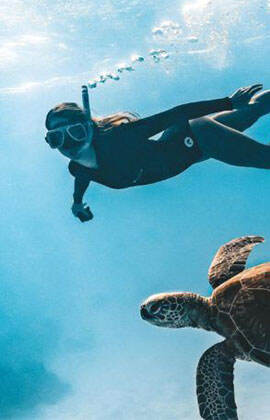 2020_GBR_SnorkelingLadyMusgraveIsland_Turtles_fm.jpeg