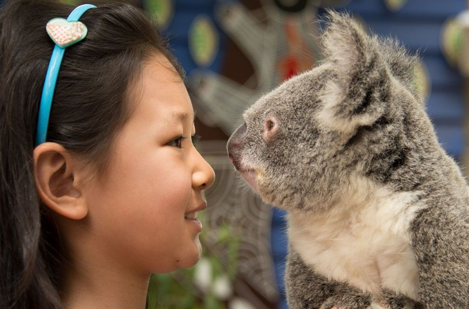 2020_GC_CurrumbinWildlifeSanctuary_WildlifeEncounters