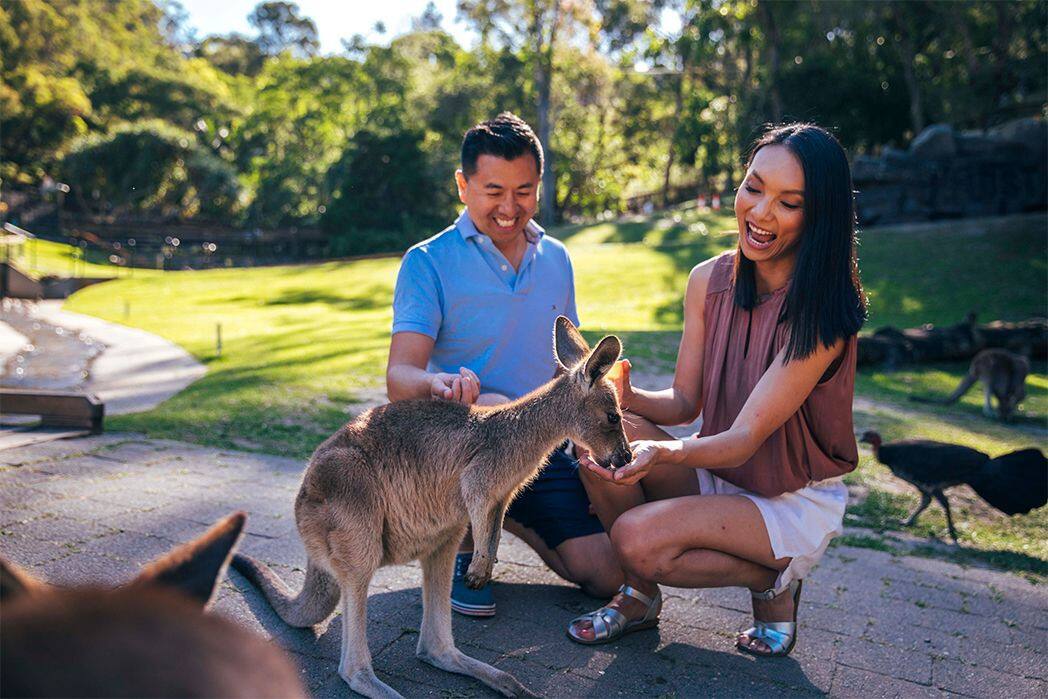 2020_GC_CurrumbinWildlifeSanctuary_ZoosAndSanctuaries_139234