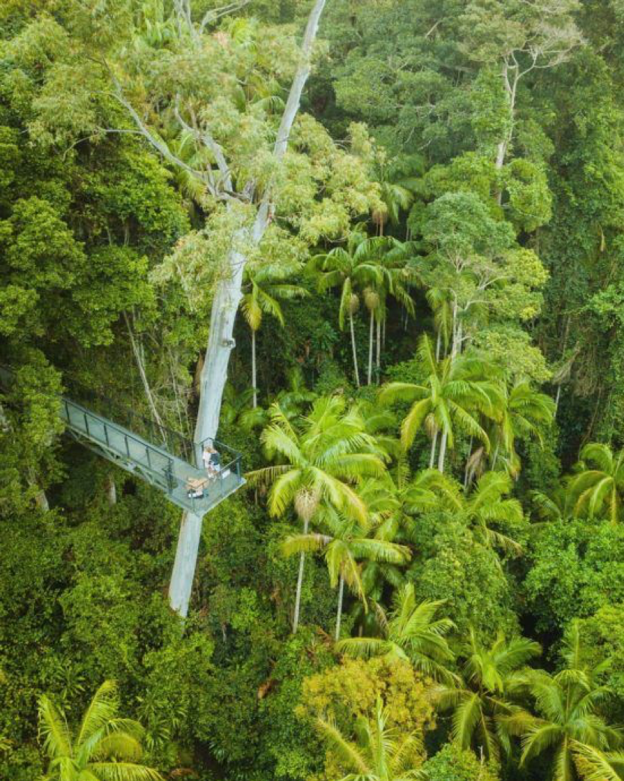 2020_GC_TamborineRainforestSkywalk_WalkingAndHiking_ethancole_photography