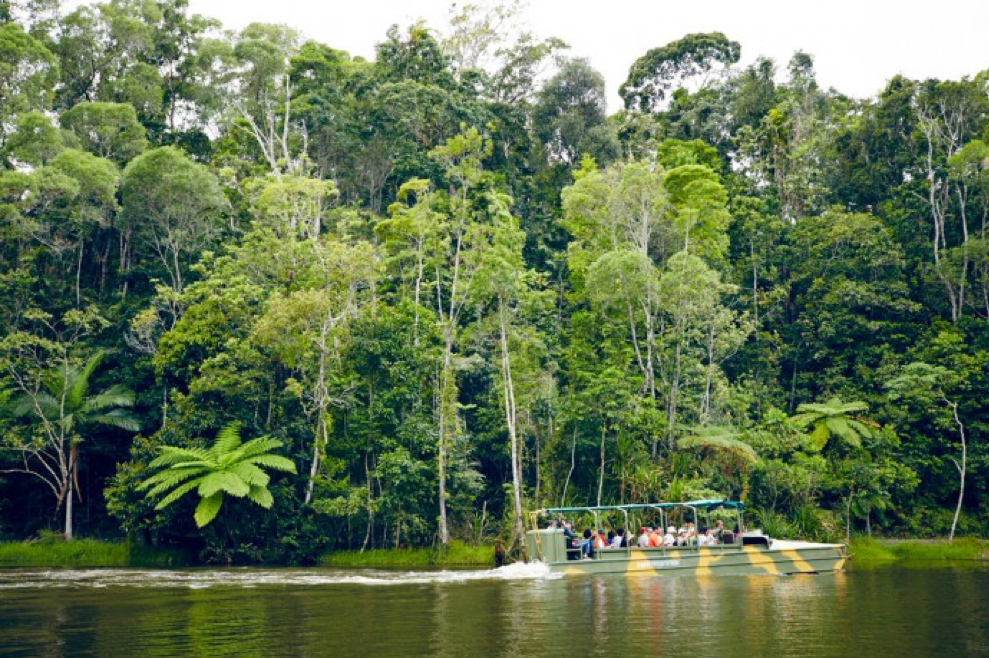 2020_Kuranda_Rainforestation_Adventure_NaturalLandscapes