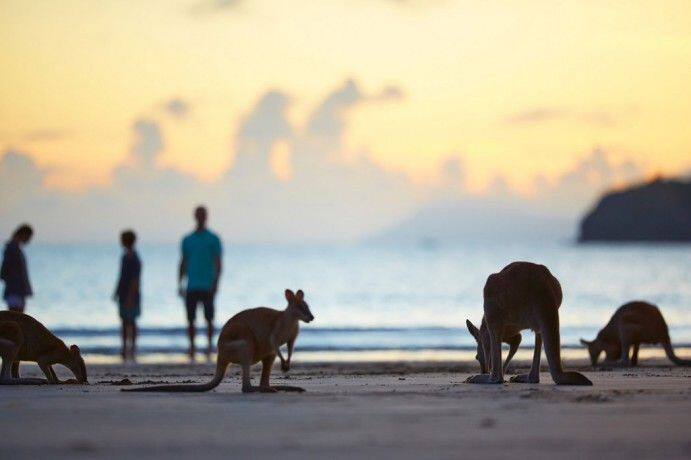 2020_MKY_CapeHillsborough_NaturalLandscapes