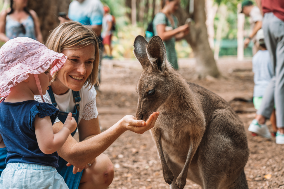 2020_SC_AustraliaZoo_WildlifeExperiences_JesseLindemann_141214