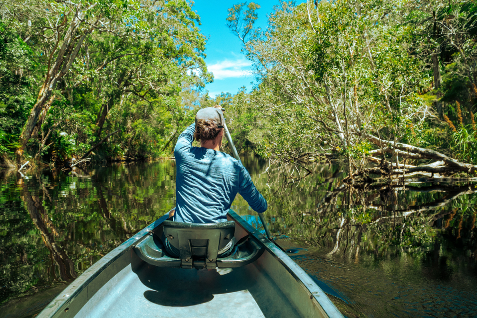 2020_SC_NoosaEverglades_NaturalLandscapes_JesseLindemann_138360