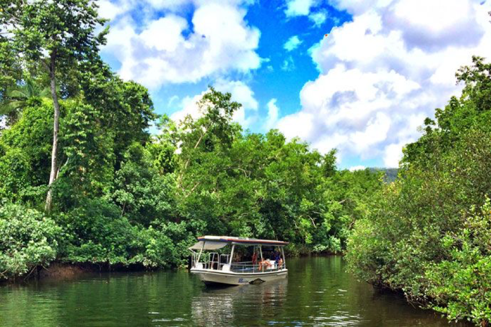 2020_TNQ_DaintreeBoatCruise_BoatingAndCanoe