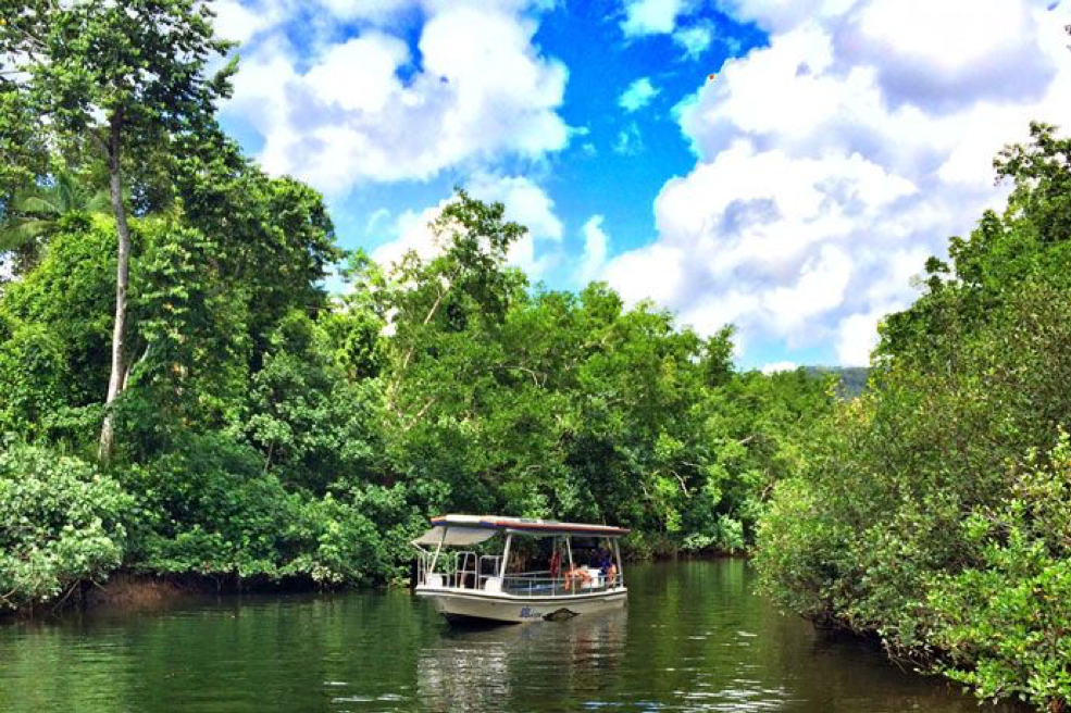 2020_TNQ_DaintreeBoatCruise_BoatingAndCanoe