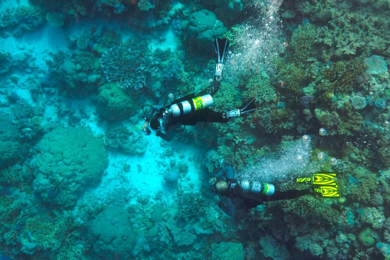 2020_TNQ_Divers Den1_GreatBarrierReef