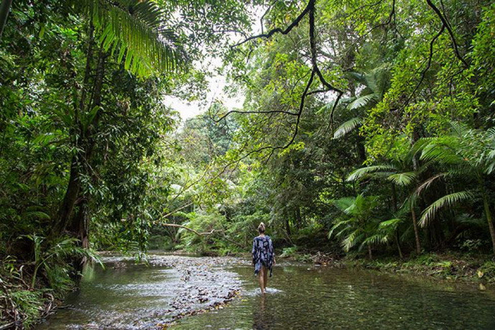 2020_TNQ_MossmanGorge_NaturalLandscapes