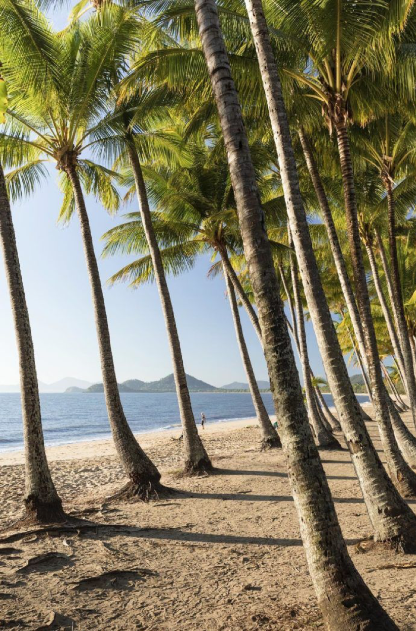 2020_TNQ_PalmCove_Beaches_@jamesconomos