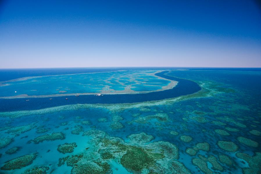 2020_WYS_GreatBarrierReef_GreatBarrierReef_140685.png