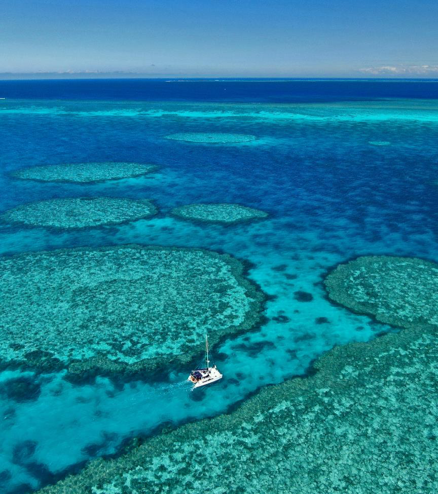 Fitzroy Reef 142290-56