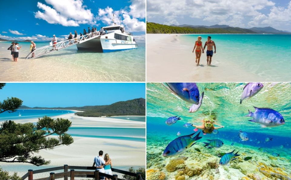 collage-cruise-whitsundays