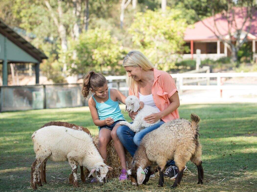 paradise-country-family-with-lamb-1050x788