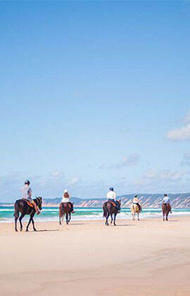 rainbow-beach-horse-riding_fm.jpeg