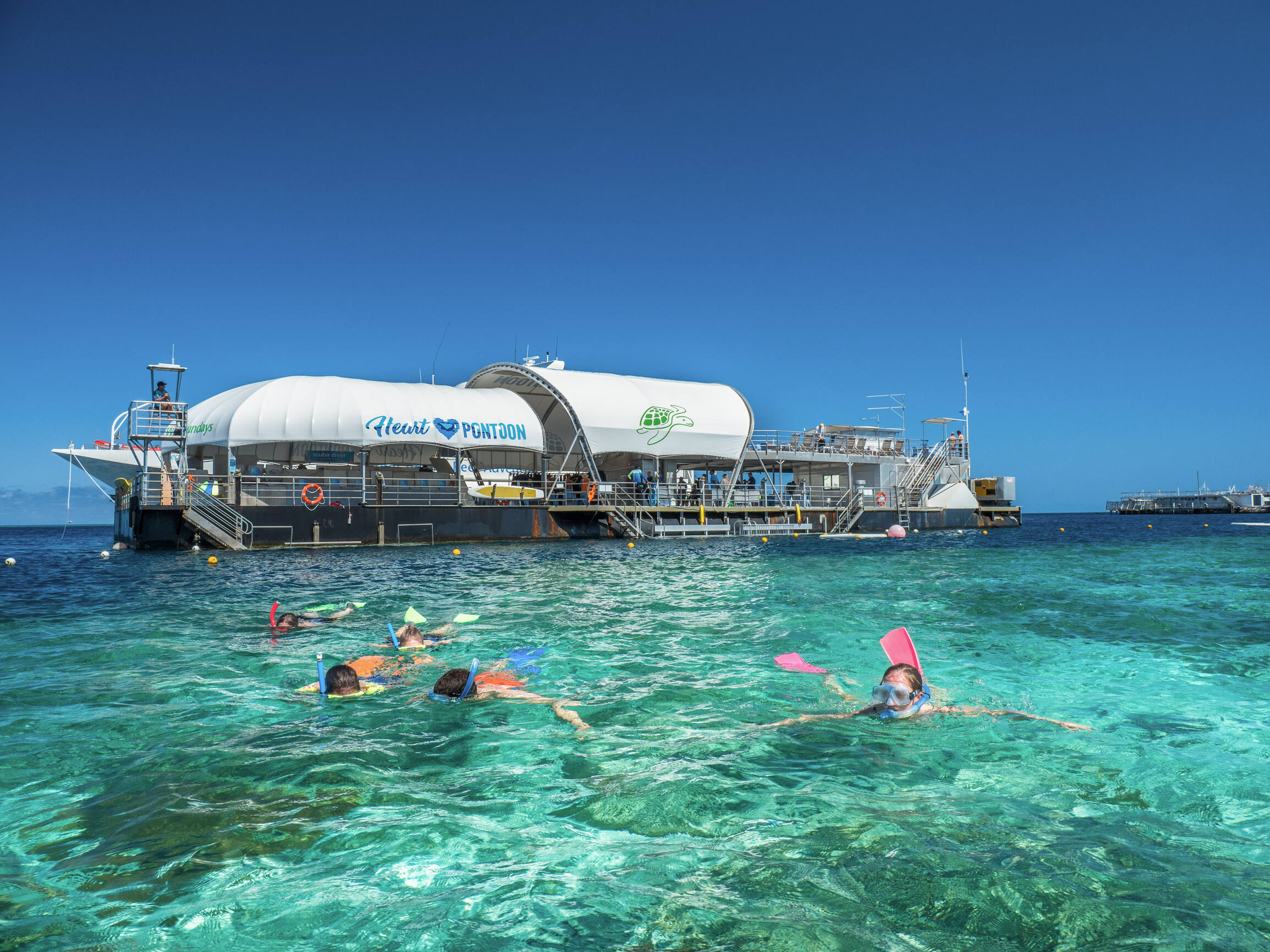 2019_WSY_CruiseWhitsundays_GreatBarrierReef_MarkFitz_141418