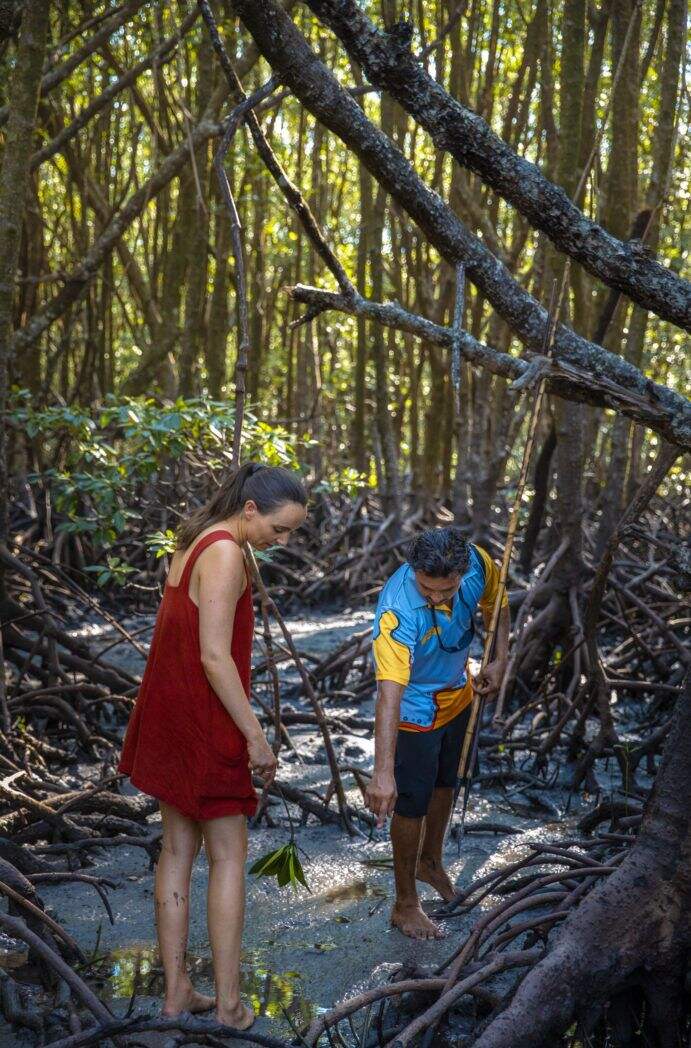 2020_TNQ_Mossman_WalkaboutCulturalTours_IndigenousExperiences