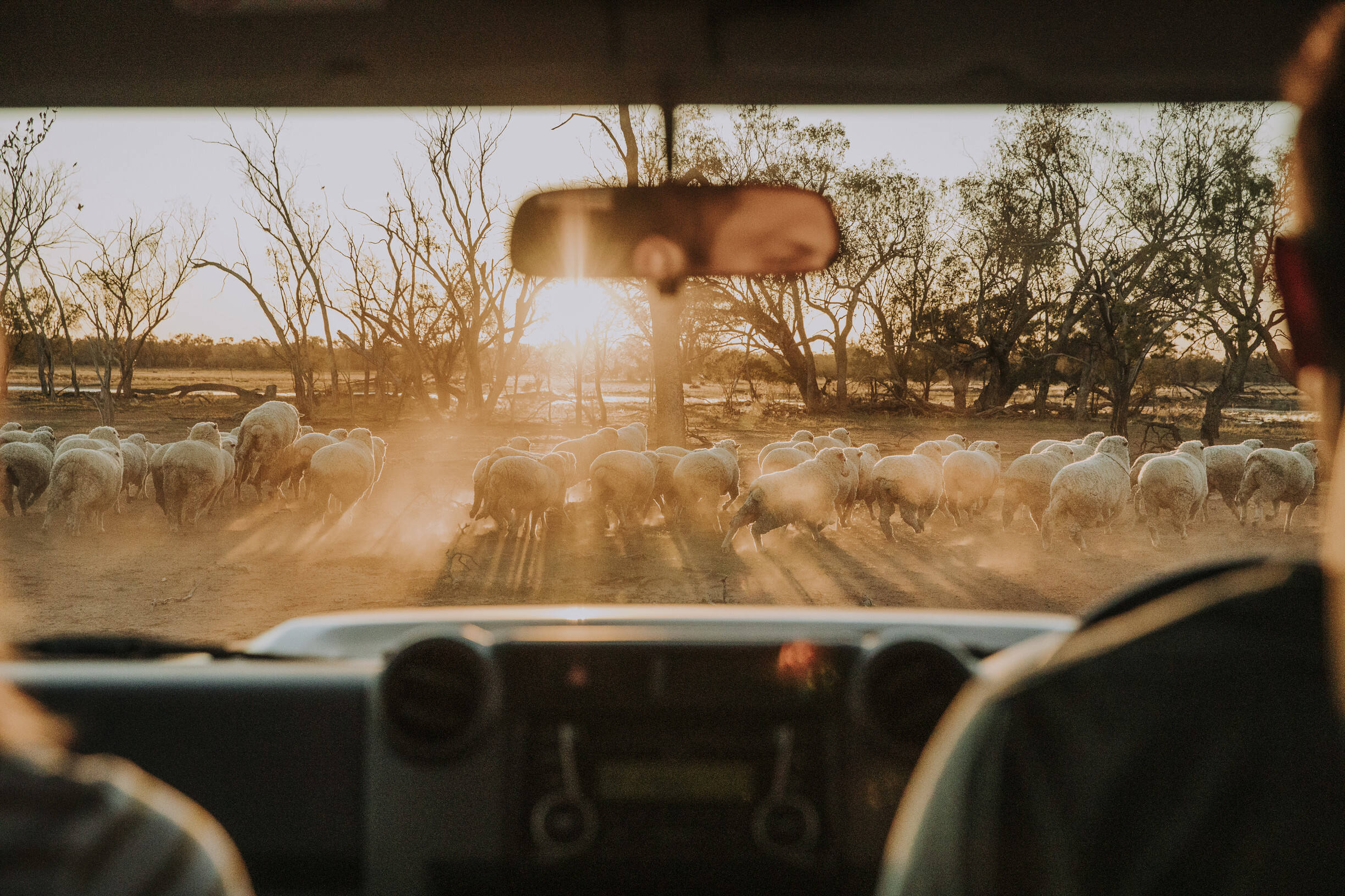 2020_OUT_CharlottePlains_RoadTrips_JackHarlem_142552