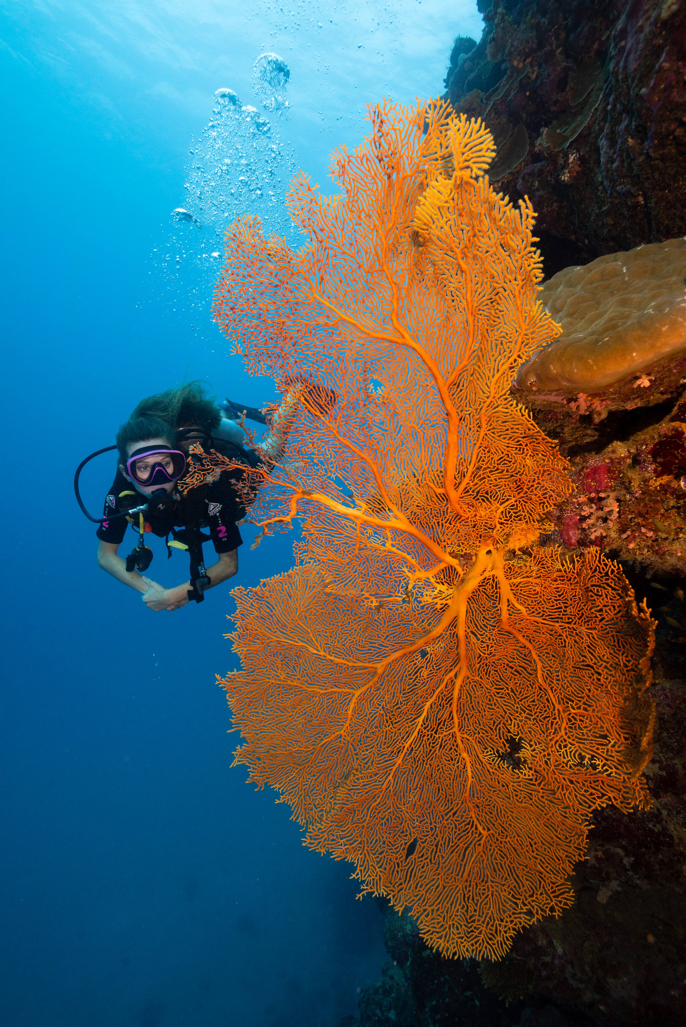 Scuba Diving at 3 Sisters Dive Site, Milln Reef, Cairns & Great Barrier Reef